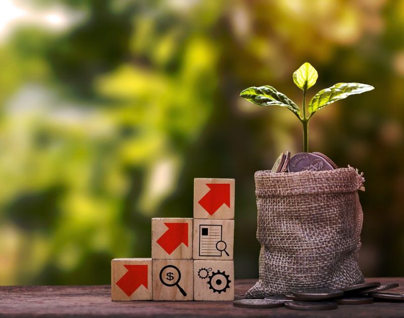 crecimiento económico