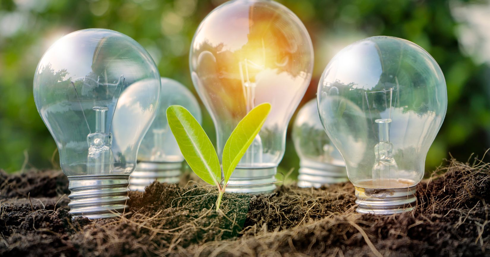 Transición energética