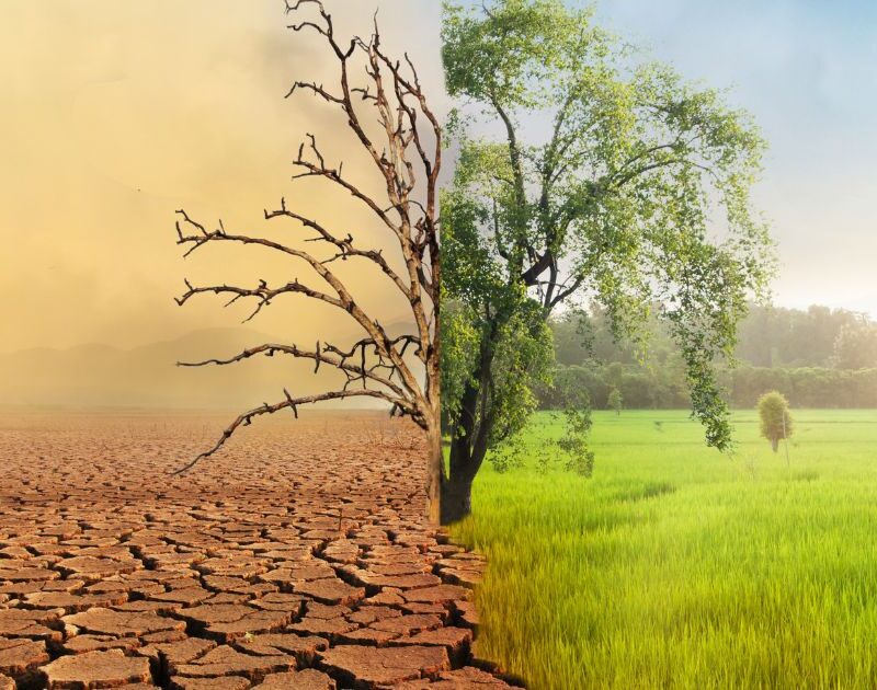 Consecuencias del cambio climático