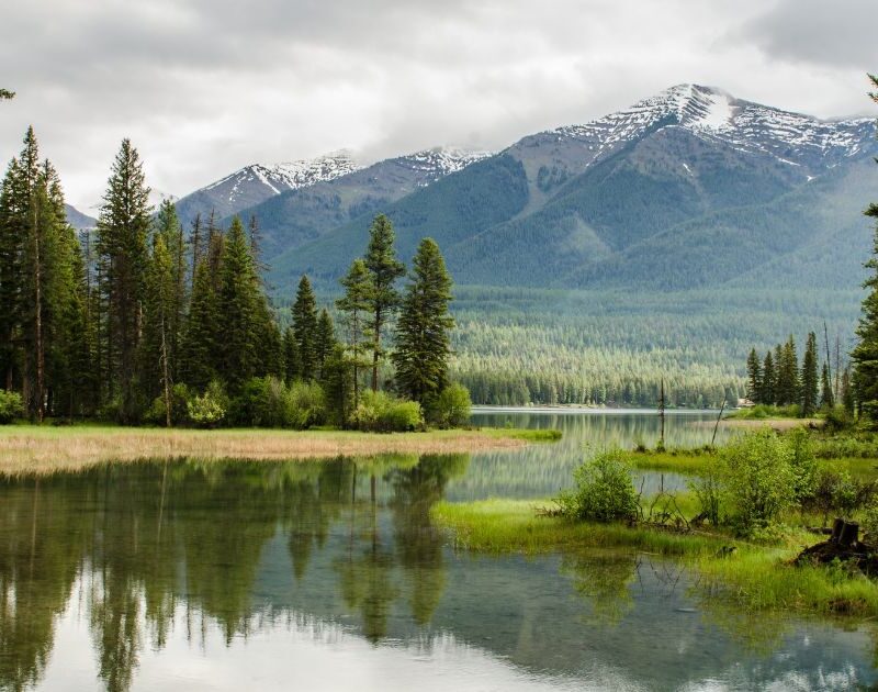 Conservar los recursos naturales