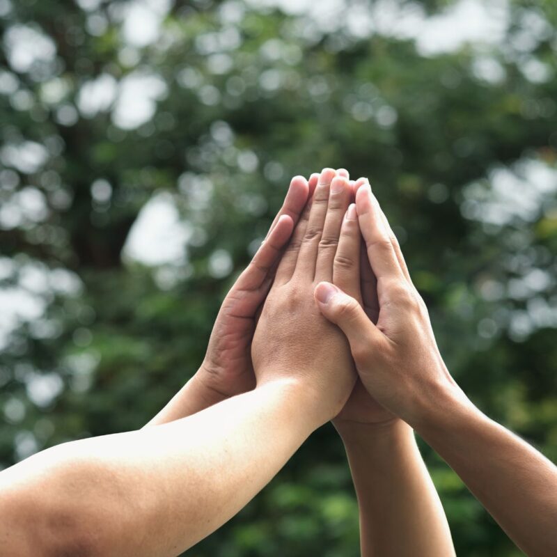 ULGES cierra con éxito su proyecto piloto en la Vall de Almonacid y se une a mODS para replicar el modelo en más municipios