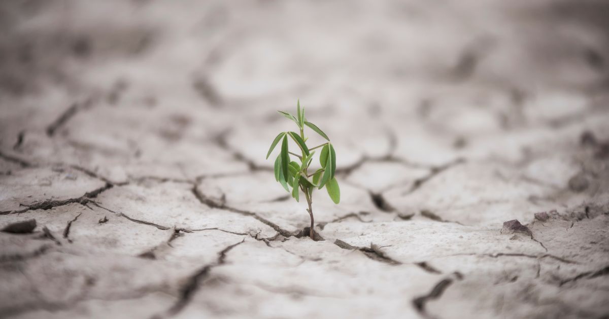 Resiliencia al clima