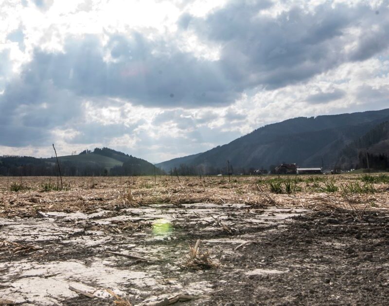 Degradación del suelo