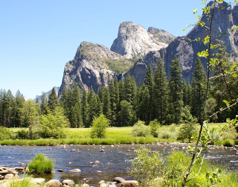 Ecosistemas terrestres