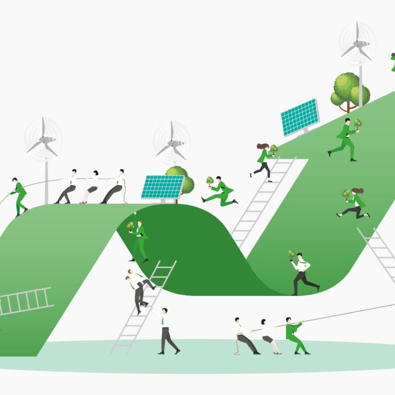 Manual para la contratación pública ecológica