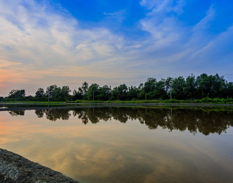 Gestión de los recursos hídricos