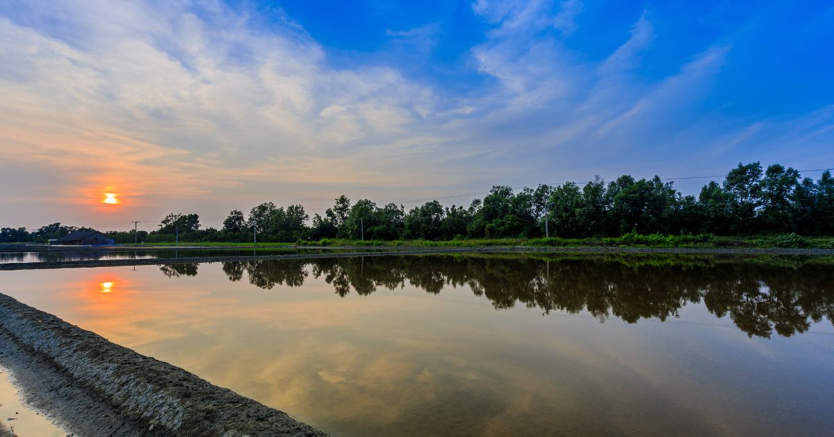 Gestión de los recursos hídricos