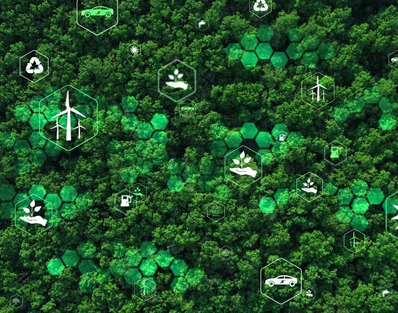 El papel de los datos para el desarrollo sostenible