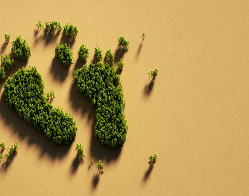 reducir la huella de carbono