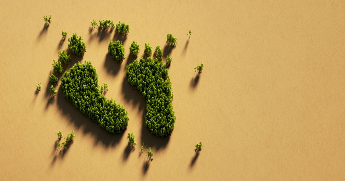 ¿Cómo reducir la huella de carbono? Primero medir, luego actuar