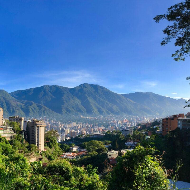 Transición ecológica