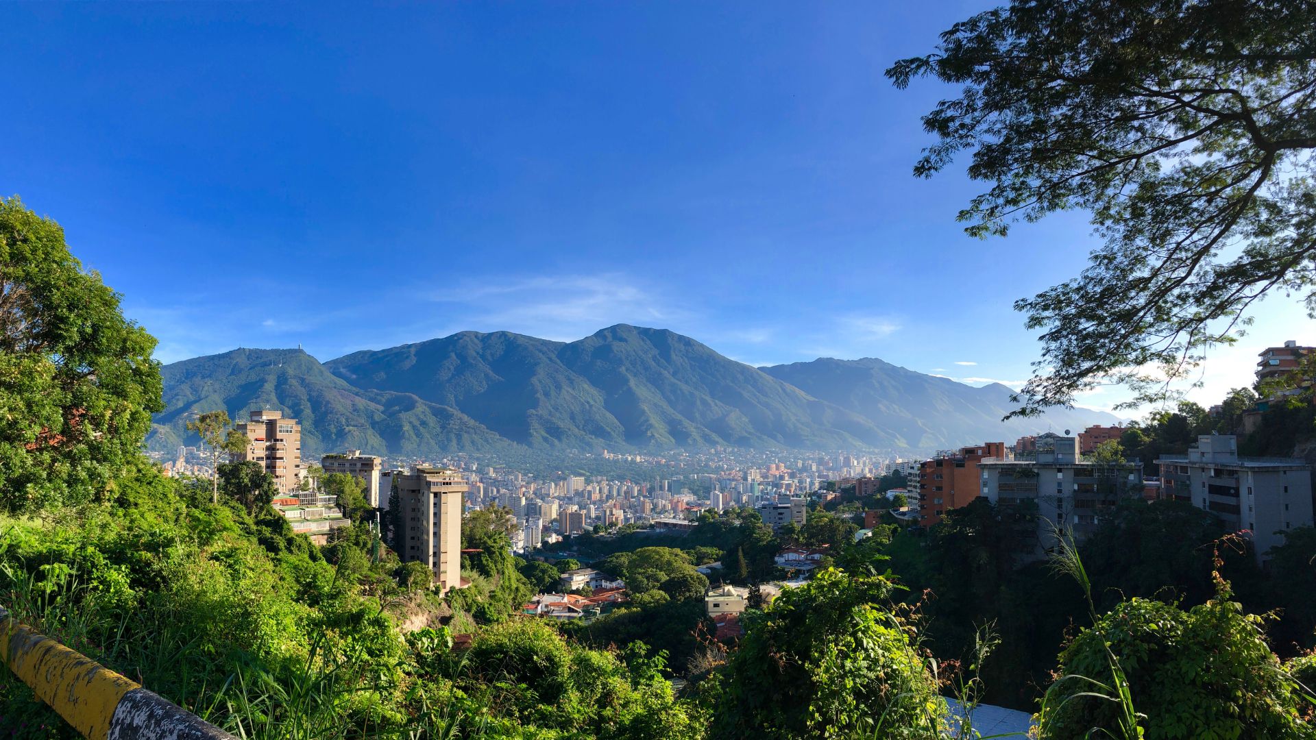 Transición ecológica