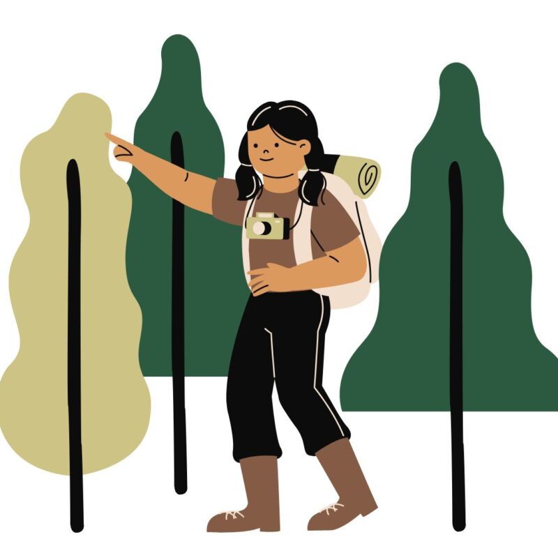 Ayudas turisme comunitat valenciana