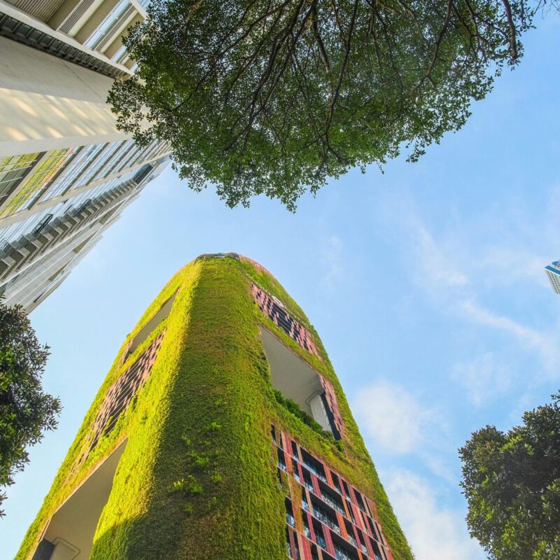 Sostenibilidad económica