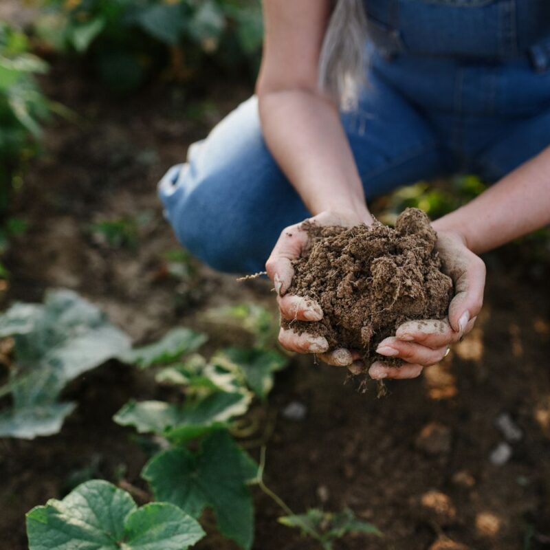 Turismo regenerativo