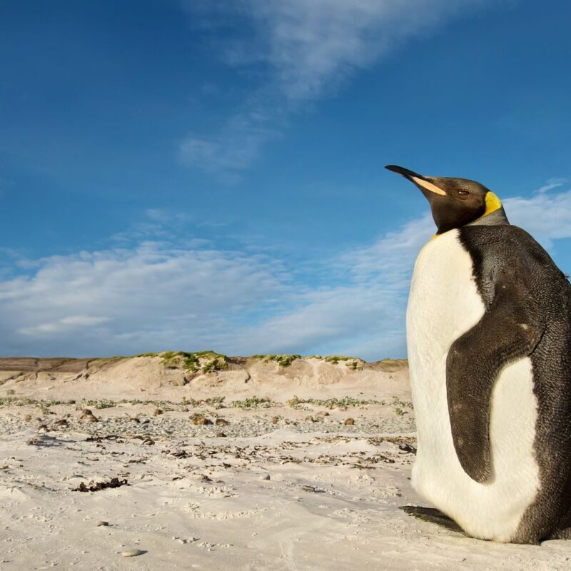 Calentamiento global