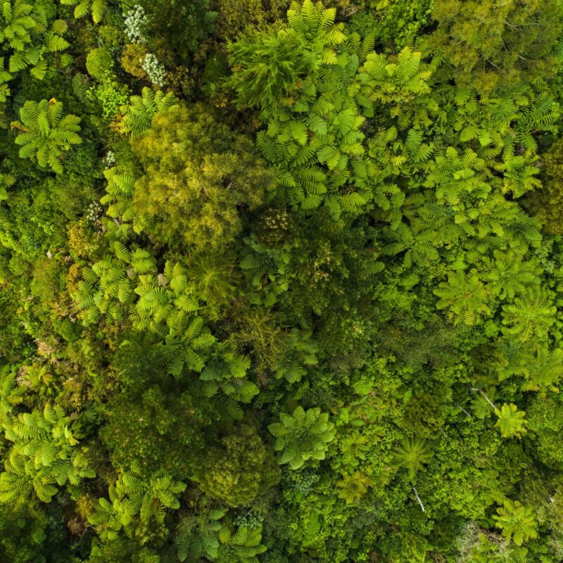 Sostenibilidad ambiental