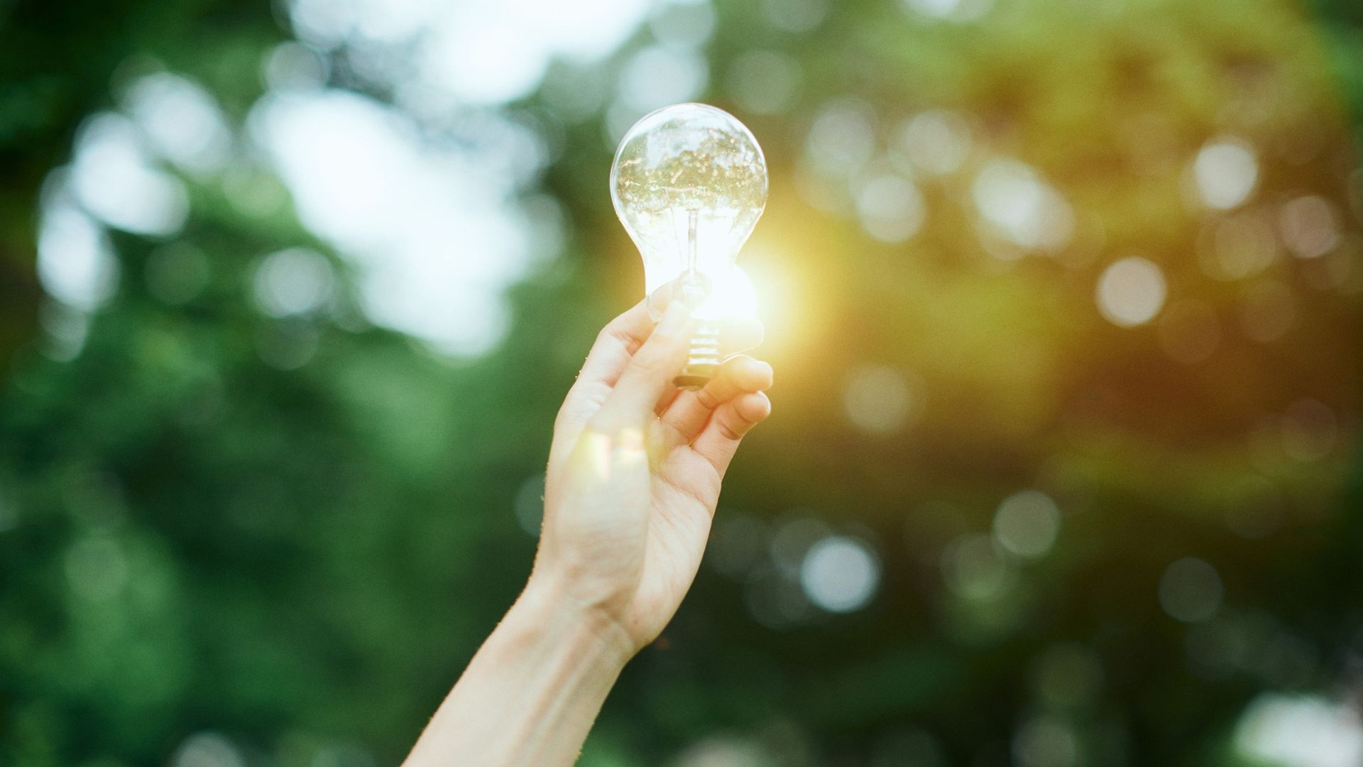 Políticas públicas