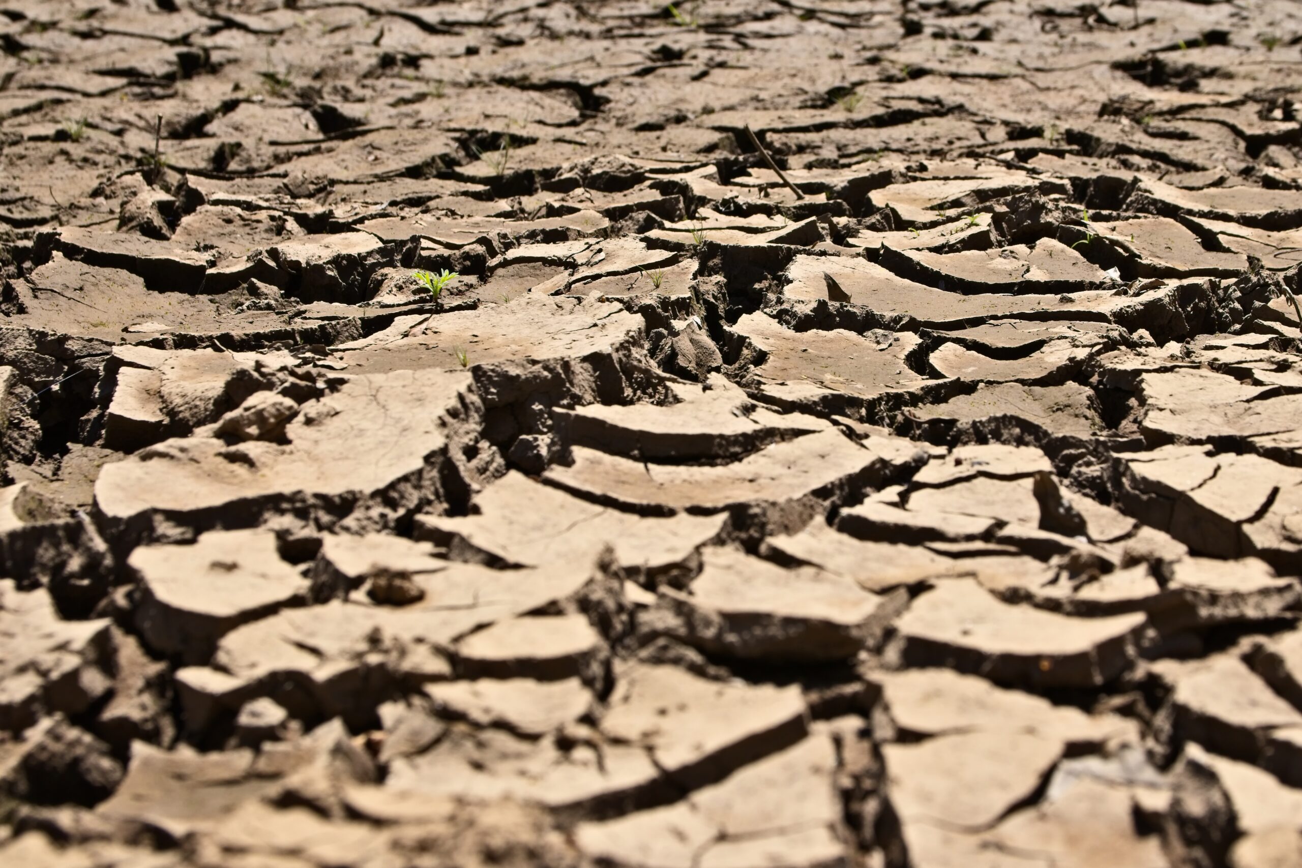 ordenanza municipal sequía 2026 restricciones de agua sin conflicto social