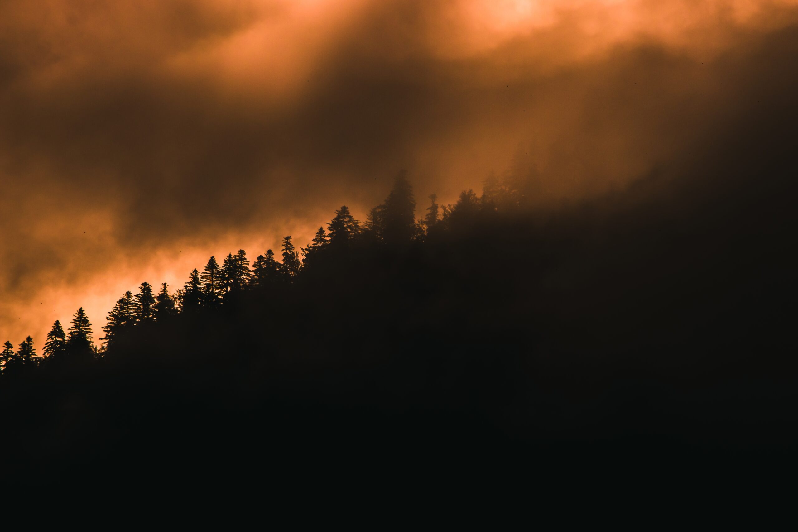 plan municipal incendios forestales