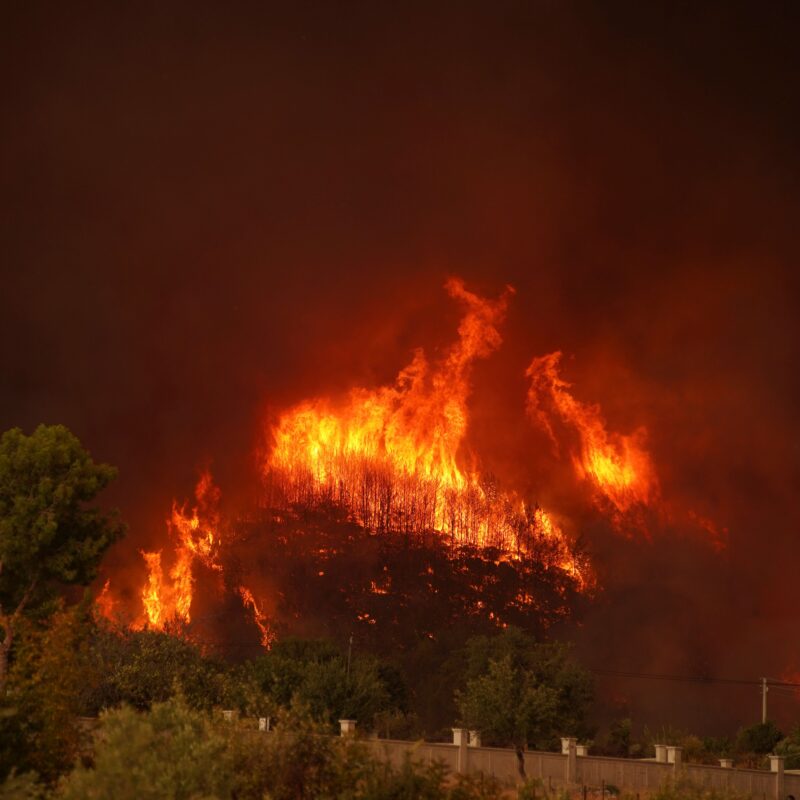 Incendios forestales en municipios 2026: apoyo y resiliencia territorial - municipiODS - Municipios y Ciudades Sostenibles
